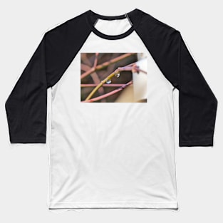 A lot of people like snow Baseball T-Shirt